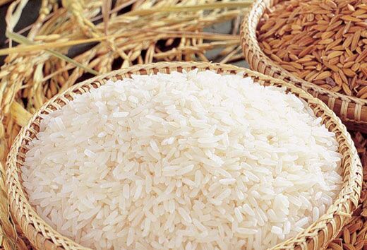 01Rice