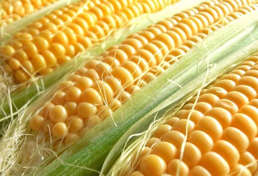 07corn