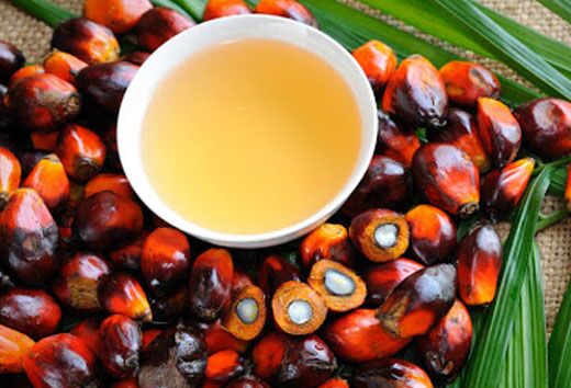 09Palmoil