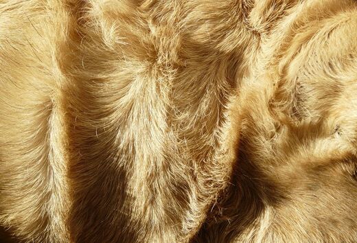 12fur